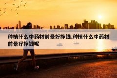 <b>��ֲʲô��ҩ��ǰ������Ǯ,��ֲʲô��ҩ��ǰ������Ǯ��</b>