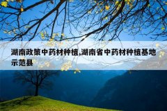 <b>����������ҩ����ֲ,����ʡ��ҩ����ֲ����ʾ����</b>