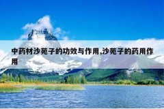 <b>��ҩ��ɳԷ�ӵĹ�Ч������,ɳԷ�ӵ�ҩ������</b>