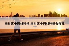 <b>�ϴ�����ҩ����ֲ,�ϴ�����ҩ����ֲ������</b>