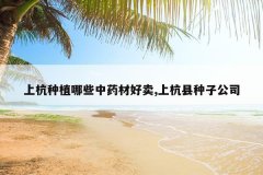 <b>�Ϻ���ֲ��Щ��ҩ�ĺ���,�Ϻ������ӹ�˾</b>