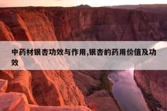 <b>��ҩ�����ӹ�Ч������,���ӵ�ҩ�ü�ֵ����Ч</b>