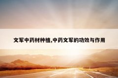 <b>�ľ���ҩ����ֲ,��ҩ�ľ��Ĺ�Ч������</b>