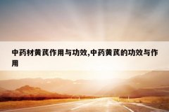 <b>��ҩ�Ļ��������빦Ч,��ҩ���εĹ�Ч������</b>