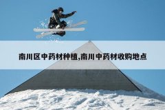 <b>�ϴ�����ҩ����ֲ,�ϴ���ҩ���չ��ص�</b>