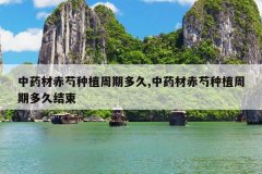 <b>��ҩ�ĳ�����ֲ���ڶ��,��ҩ�ĳ�����ֲ���ڶ�ý���</b>