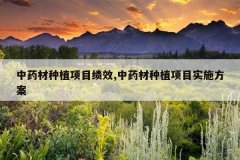 <b>��ҩ����ֲ��Ŀ��Ч,��ҩ����ֲ��Ŀʵʩ����</b>