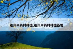 <b>������ҩ����ֲ,������ҩ����ֲ����</b>