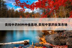 <b>������ҩ������ֲ����,�����в�ҩ�����г�</b>