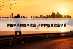 <b>��ֲ��ҩ��Ⱥ���¸�,ҩ����ֲҵ�¸���Ŀ</b>