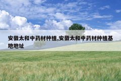 <b>����̫����ҩ����ֲ,����̫����ҩ����ֲ���ص�ַ</b>