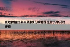<b>������ֲʲô��ҩ�ĺ�,������ֲʲô��ҩ�ĺ�Щ</b>