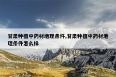 <b>������ֲ��ҩ�ĵ�������,������ֲ��ҩ�ĵ���������ô��</b>