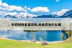 <b>��ҩ������ݹ�Ч,���ҩ��ʲô��</b>