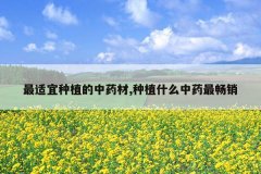 <b>��������ֲ����ҩ��,��ֲʲô��ҩ���</b>