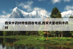 <b>������ҩ����ֲ���յ绰,���������չ���ҩ��</b>