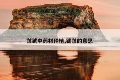 <b>����ҩ����ֲ,�뽵���˼</b>
