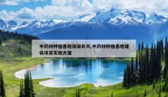 <b>��ҩ����ֲ���ؽ�������,��ҩ����ֲ���ؽ�����Ŀʵʩ����</b>