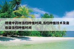 <b>������ҩ�ĵ�����ֲʱ��,������ֲ������Ķ���浱����ֲʱ��</b>