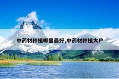 <b>��ҩ����ֲ�������,��ҩ����ֲ��</b>