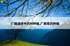 <b>����������ҩ����ֲ,������ҩ��ֲ</b>