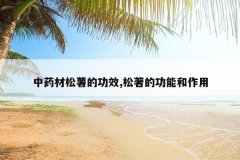 <b>��ҩ�������Ĺ�Ч,�����Ĺ��ܺ�����</b>