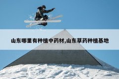 <b>ɽ����������ֲ��ҩ��,ɽ����ҩ��ֲ����</b>