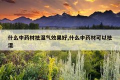 <b>ʲô��ҩ����ʪ��Ч����,ʲô��ҩ�Ŀ�����ʪ</b>