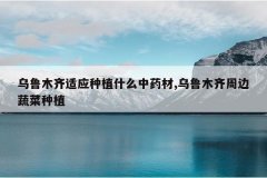 <b>��³ľ����Ӧ��ֲʲô��ҩ��,��³ľ���ܱ��߲���ֲ</b>