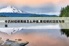 <b>��ҩ�Ľ۹��ƾ���ô��ֲ,�ƽ۹��Ĺ�Ч������</b>