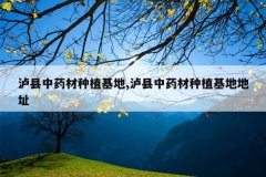 <b>������ҩ����ֲ����,������ҩ����ֲ���ص�ַ</b>