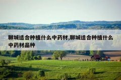 <b>�ĳ��ʺ���ֲʲô��ҩ��,�ĳ��ʺ���ֲʲô��ҩ��Ʒ��</b>