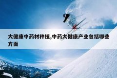 <b>�󽡿���ҩ����ֲ,��ҩ�󽡿���ҵ������Щ����</b>