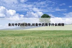 <b>����ҩ�Ĺ�Ч,������ҩ����ʲô����</b>