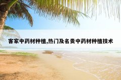 <b>�ͼ���ҩ����ֲ,���ż�������ҩ����ֲ����</b>