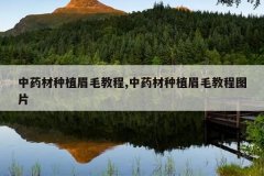 <b>��ҩ����ֲüë�̳�,��ҩ����ֲüë�̳�ͼƬ</b>