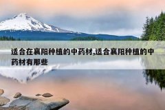 <b>�ʺ���������ֲ����ҩ��,�ʺ�������ֲ����ҩ������Щ</b>