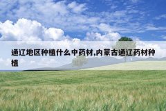 <b>ͨ�ɵ�����ֲʲô��ҩ��,���ɹ�ͨ��ҩ����ֲ</b>