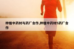 <b>��ֲ��ҩ����ҩ������,��ֲ��ҩ��5ҩ������</b>