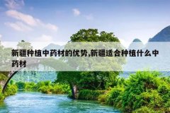 <b>�½���ֲ��ҩ�ĵ�����,�½��ʺ���ֲʲô��ҩ��</b>