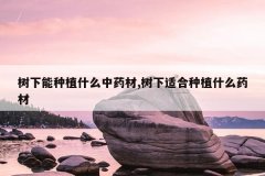 <b>��������ֲʲô��ҩ��,�����ʺ���ֲʲôҩ��</b>