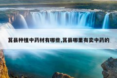 <b>������ֲ��ҩ������Щ,��������������ҩ��</b>