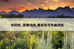 <b>��ҩ��_�λƹ�Ч,����Ч�����ù�Ч</b>