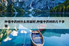 <b>��ֲ��ҩ��ʲôЧ���,��ֲ��ҩ�ĵļ�������</b>