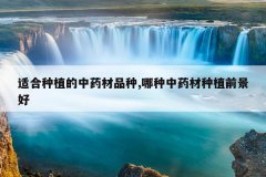 <b>�ʺ���ֲ����ҩ��Ʒ��,������ҩ����ֲǰ����</b>