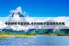 <b>��ҩ�����ӻ���Ч,��ҩ�����ӻ���Ч������</b>