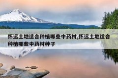 <b>��Զ�����ʺ���ֲ��Щ��ҩ��,��Զ�����ʺ���ֲ��Щ��ҩ������</b>
