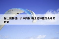 <b>�������ֲʲô��ҩ��,�������ֲʲô��ҩ����</b>