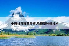 <b>��ҩ�����޲���ֲ,���޲���ֲ����</b>