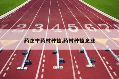 <b>ҩ����ҩ����ֲ,ҩ����ֲ��ҵ</b>